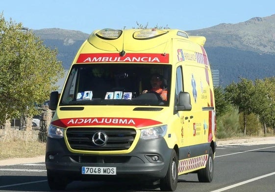 El suceso ha ocurrido en Villasana de Mena.