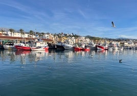 Imagen del puerto pesquero de Caleta de Vélez.