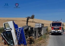 El camión volcado en la A-7278, en el término municipal de Teba.