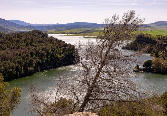 La seca hace estragos en el entorno del embalse del Conde del Guadalhorce.