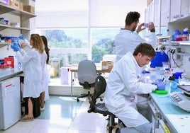 Un estudio liderado por CIC bioGUNE disecciona el funcionamiento del cáncer de próstata más agresivo