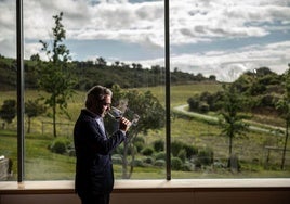 Ignacio Calvo de Mora, director general de Macán, en la bodega de Samaniego.
