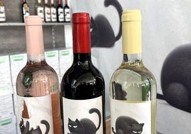 Los vinos El Jugón.