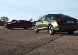 Skoda Octavia 2025: ¿qué carrocería y motor hay que elegir?