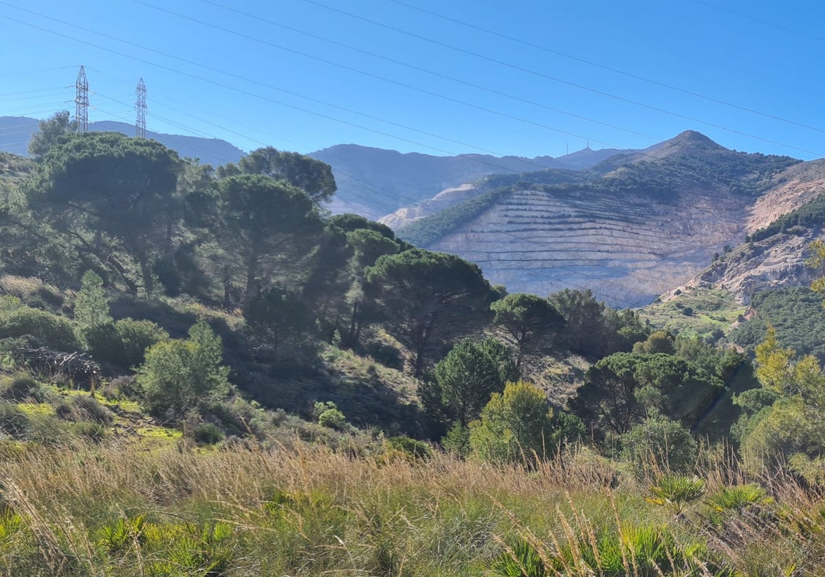 High risk of wildfires awareness campaign launched in Costa del Sol town